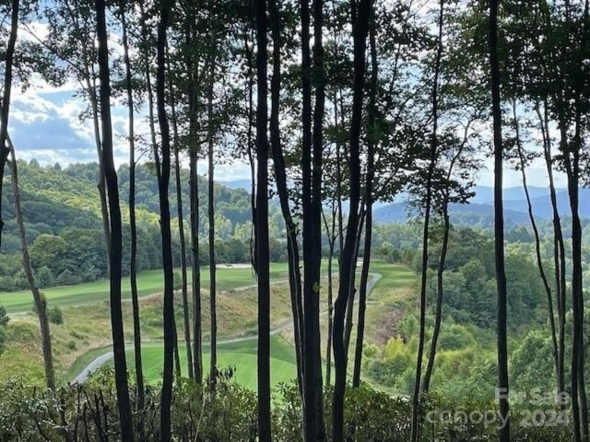 Picture of Residential Land For Sale in Sylva, North Carolina, United States