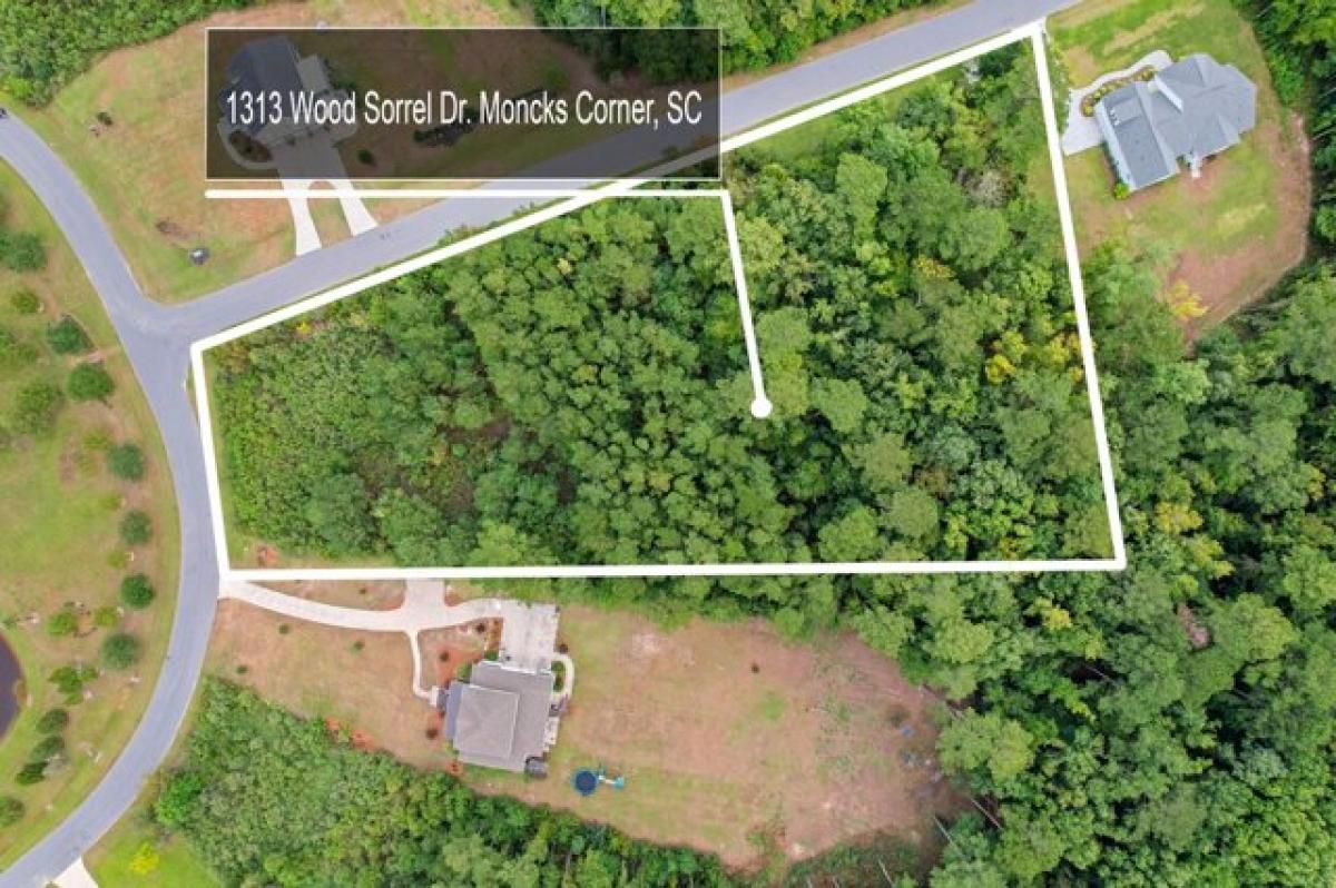 Picture of Residential Land For Sale in Moncks Corner, South Carolina, United States