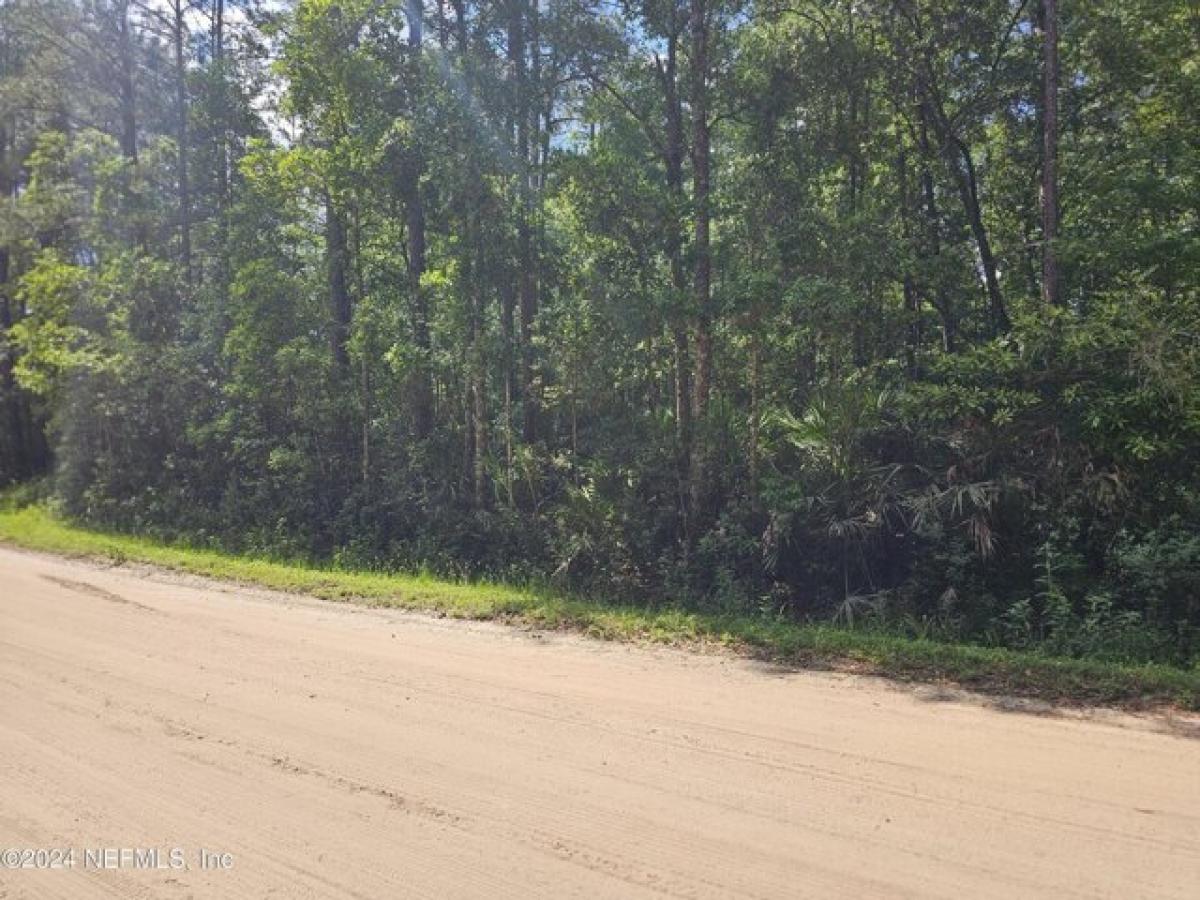 Picture of Residential Land For Sale in Middleburg, Florida, United States