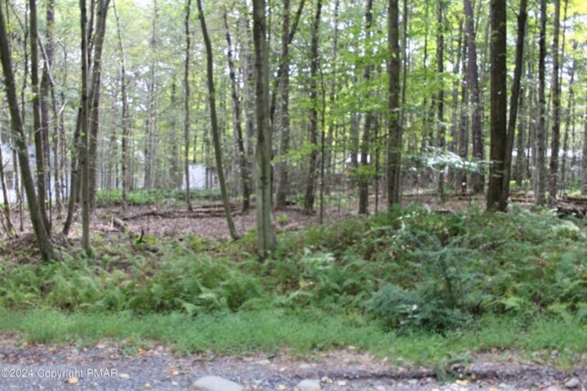 Picture of Residential Land For Sale in Pocono Lake, Pennsylvania, United States