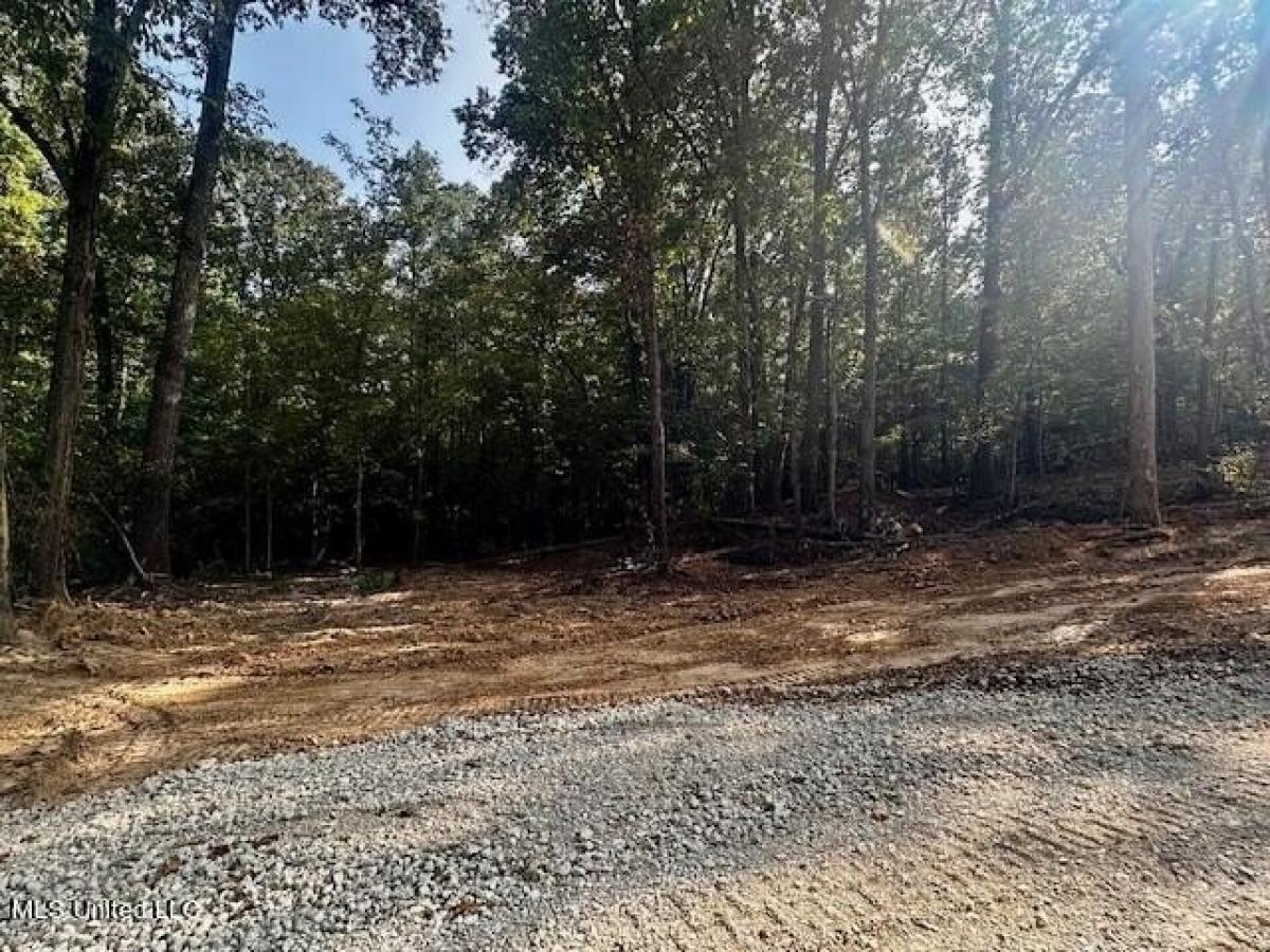 Picture of Residential Land For Sale in Byhalia, Mississippi, United States