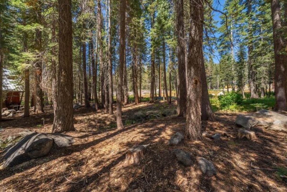 Picture of Residential Land For Sale in Soda Springs, California, United States