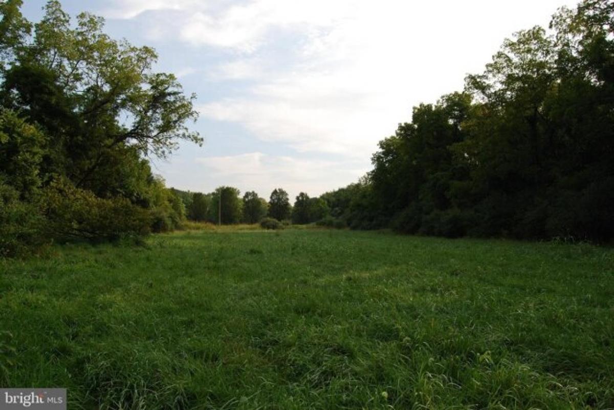 Picture of Residential Land For Sale in Martinsburg, West Virginia, United States