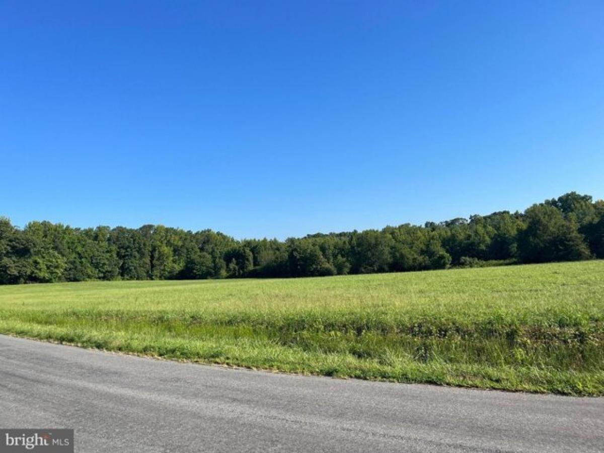 Picture of Residential Land For Sale in Louisa, Virginia, United States