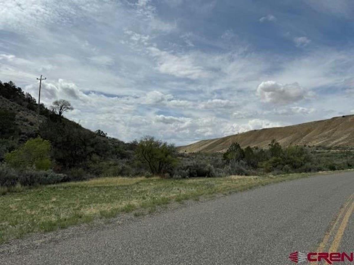 Picture of Residential Land For Sale in Cedaredge, Colorado, United States