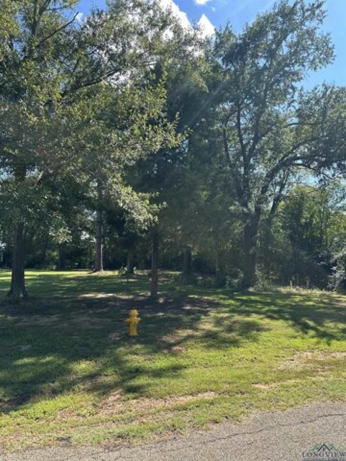 Picture of Residential Land For Sale in Longview, Texas, United States