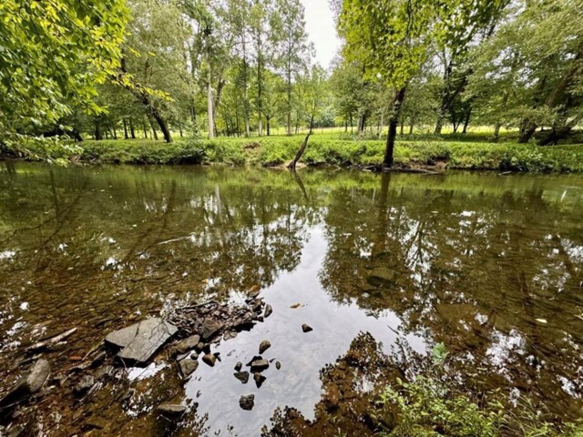 Picture of Residential Land For Sale in Crossville, Tennessee, United States