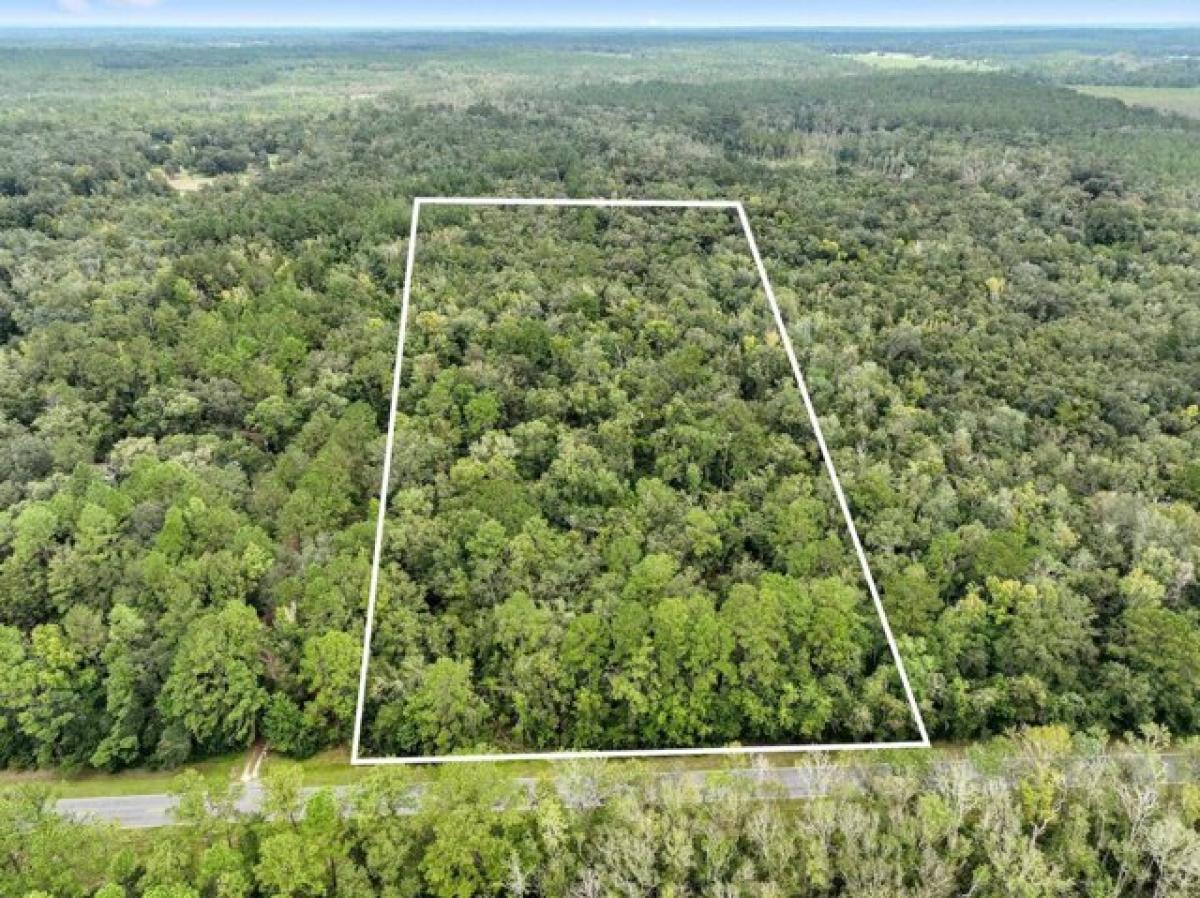 Picture of Residential Land For Sale in Monticello, Florida, United States