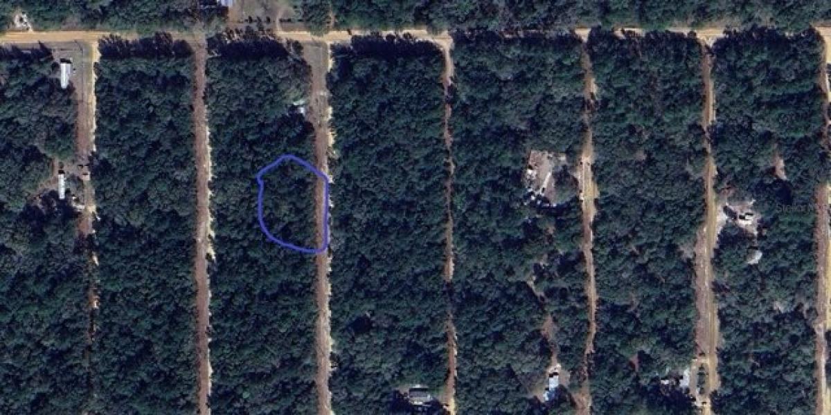 Picture of Residential Land For Sale in Interlachen, Florida, United States