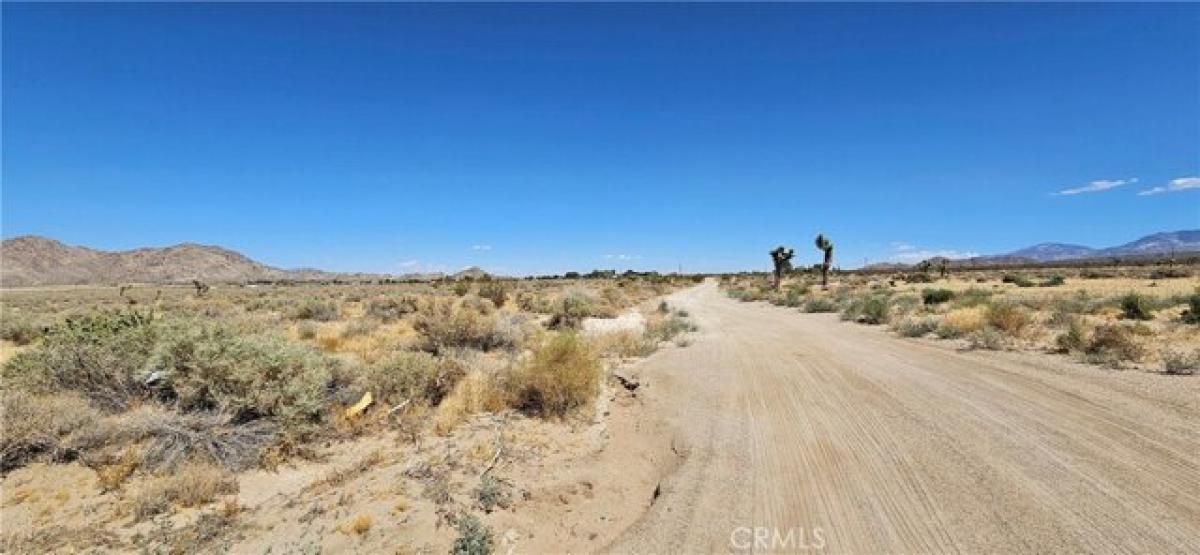 Picture of Residential Land For Sale in Lucerne Valley, California, United States