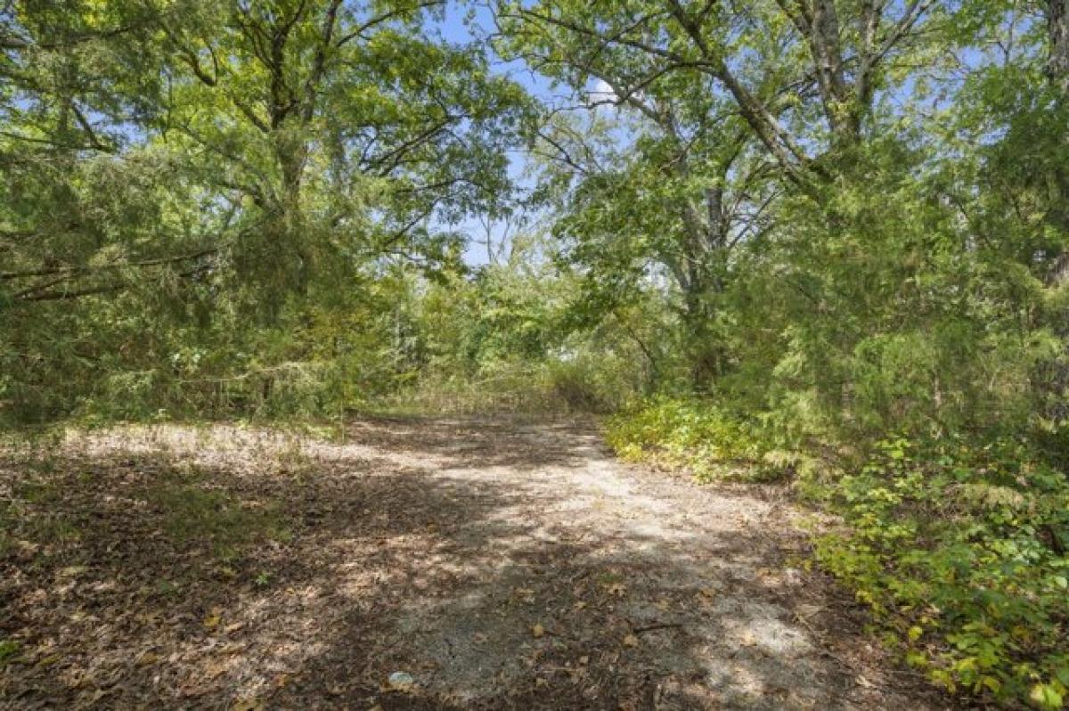 Picture of Residential Land For Sale in Branson, Missouri, United States