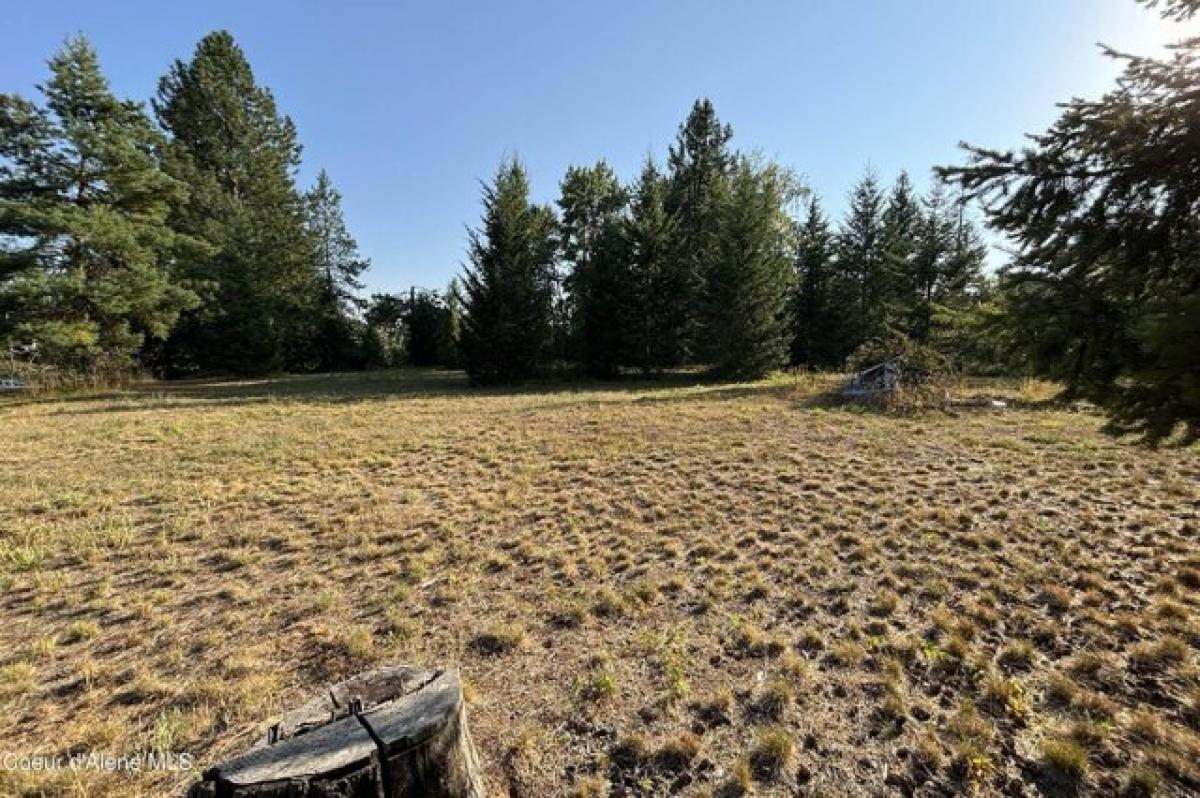 Picture of Residential Land For Sale in Sandpoint, Idaho, United States