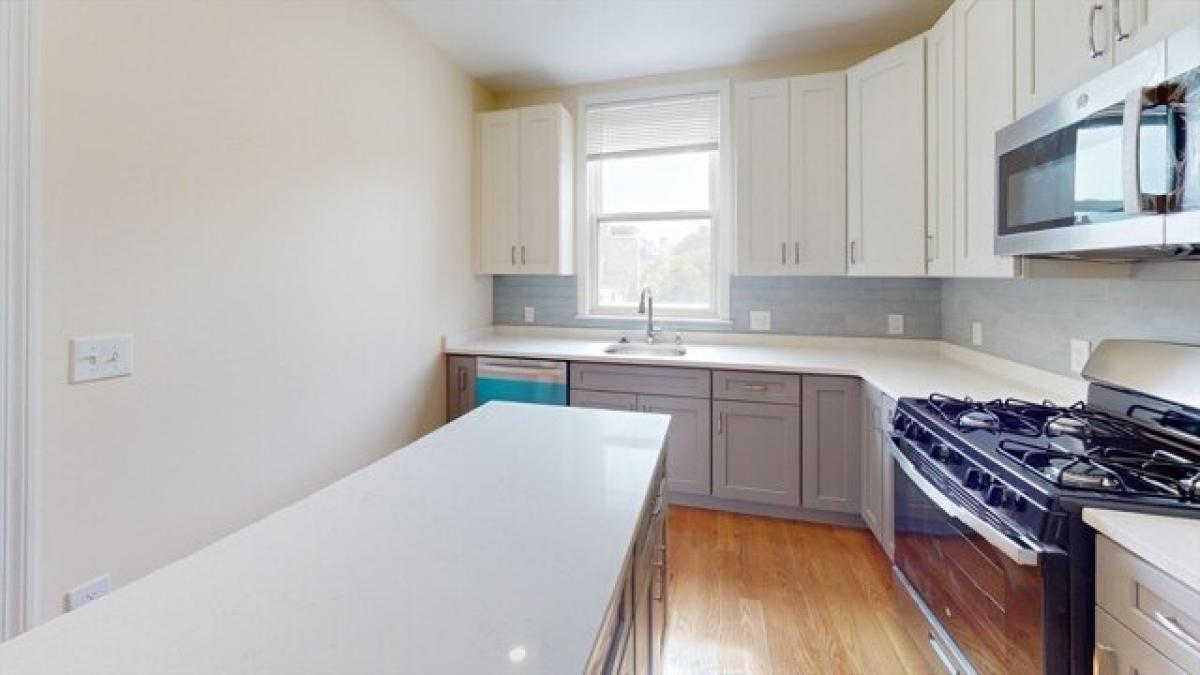 Picture of Apartment For Rent in Boston, Massachusetts, United States