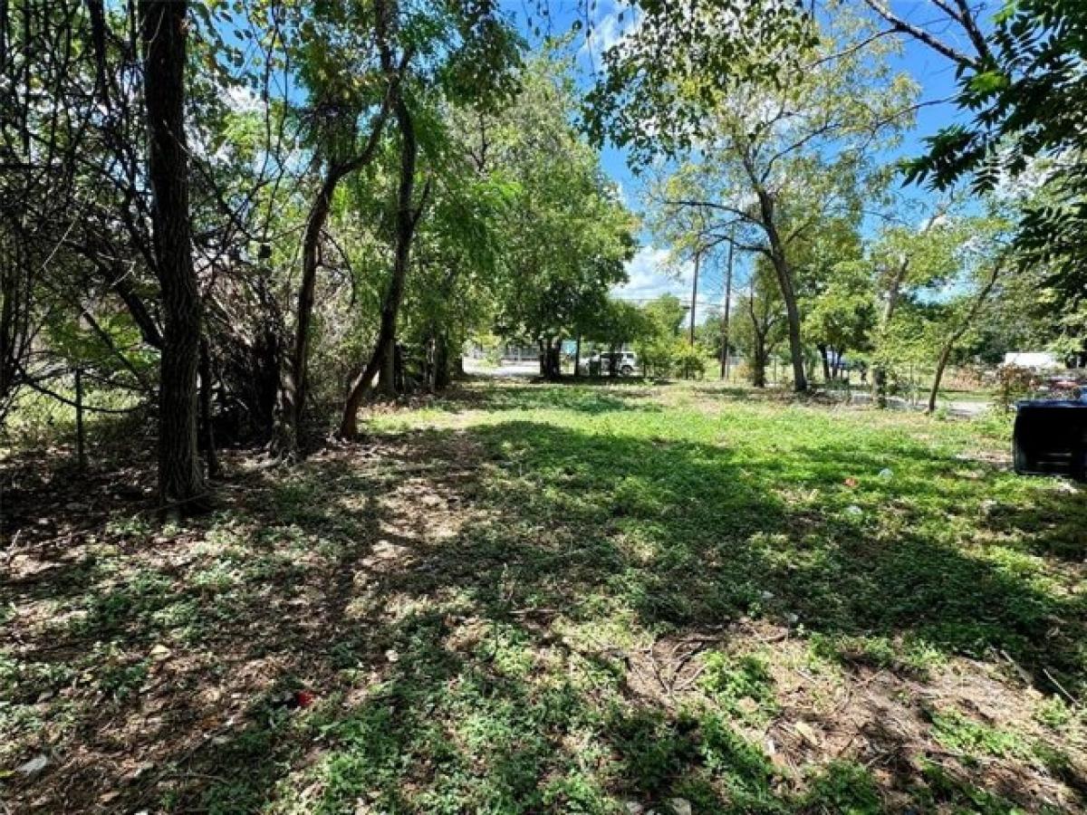 Picture of Residential Land For Sale in Austin, Texas, United States