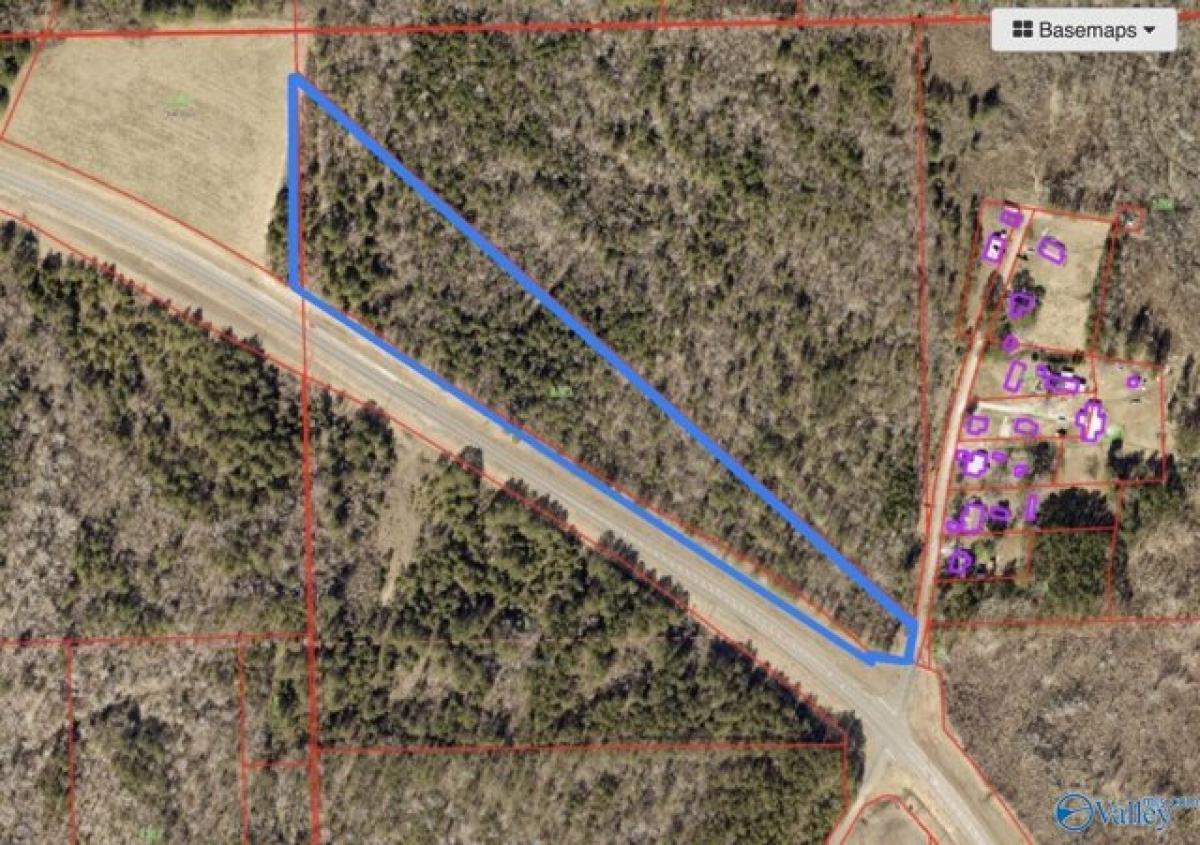 Picture of Residential Land For Sale in Centre, Alabama, United States