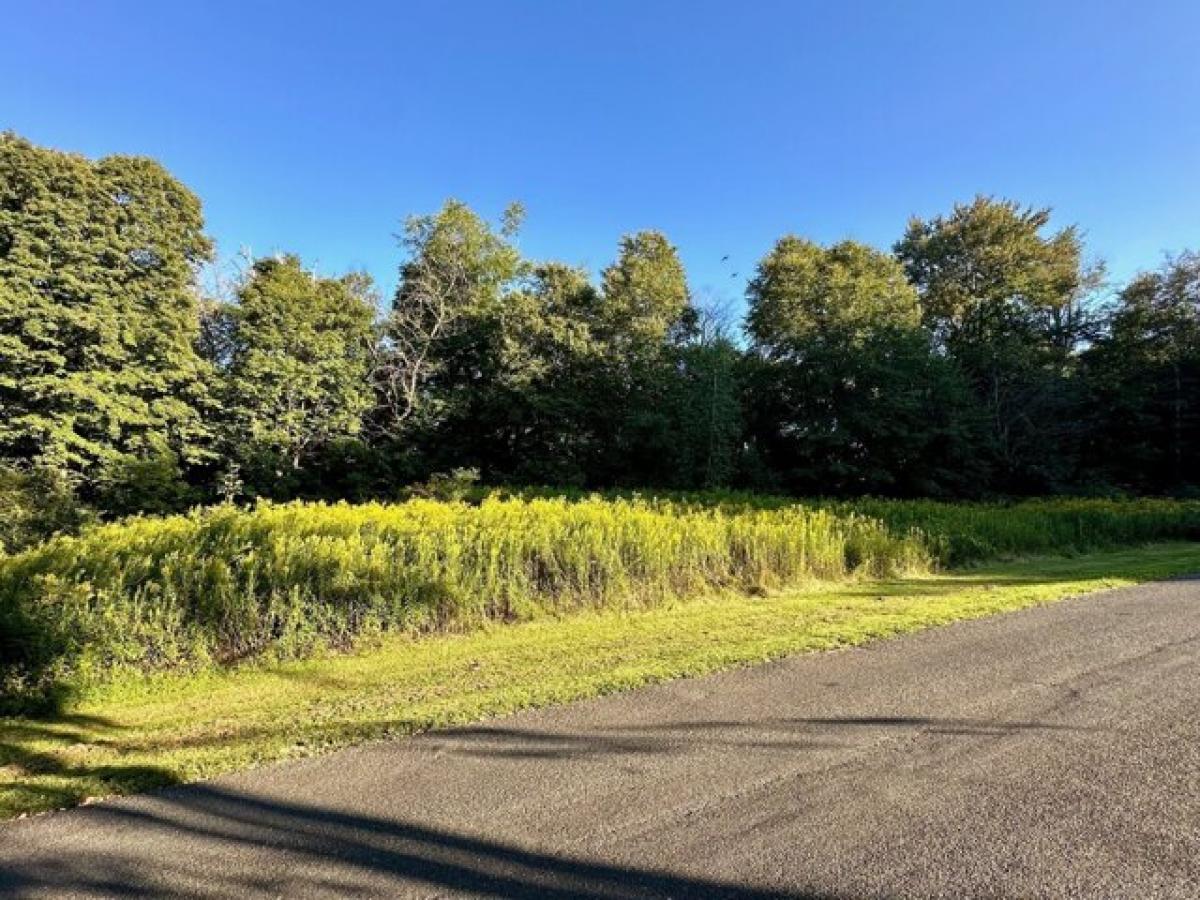 Picture of Residential Land For Sale in Kent, Connecticut, United States