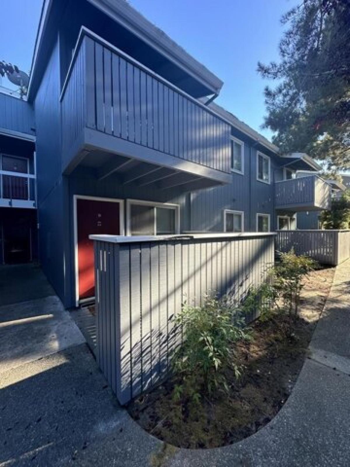 Picture of Apartment For Rent in San Bruno, California, United States