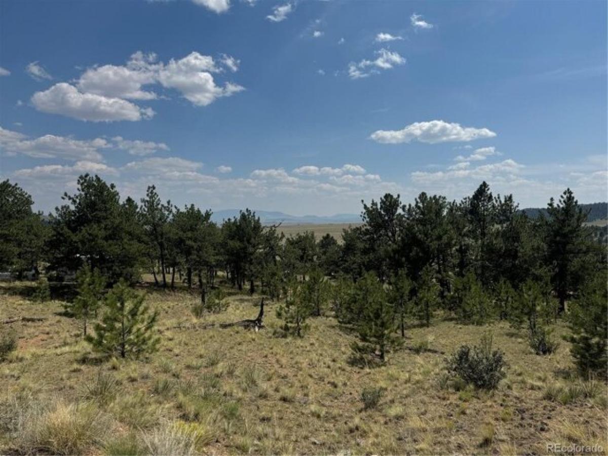 Picture of Residential Land For Sale in Hartsel, Colorado, United States