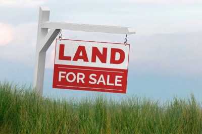 Residential Land For Sale in Gardendale, Texas