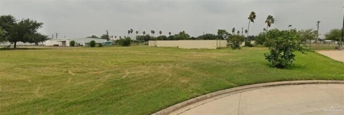 Picture of Residential Land For Sale in Edinburg, Texas, United States