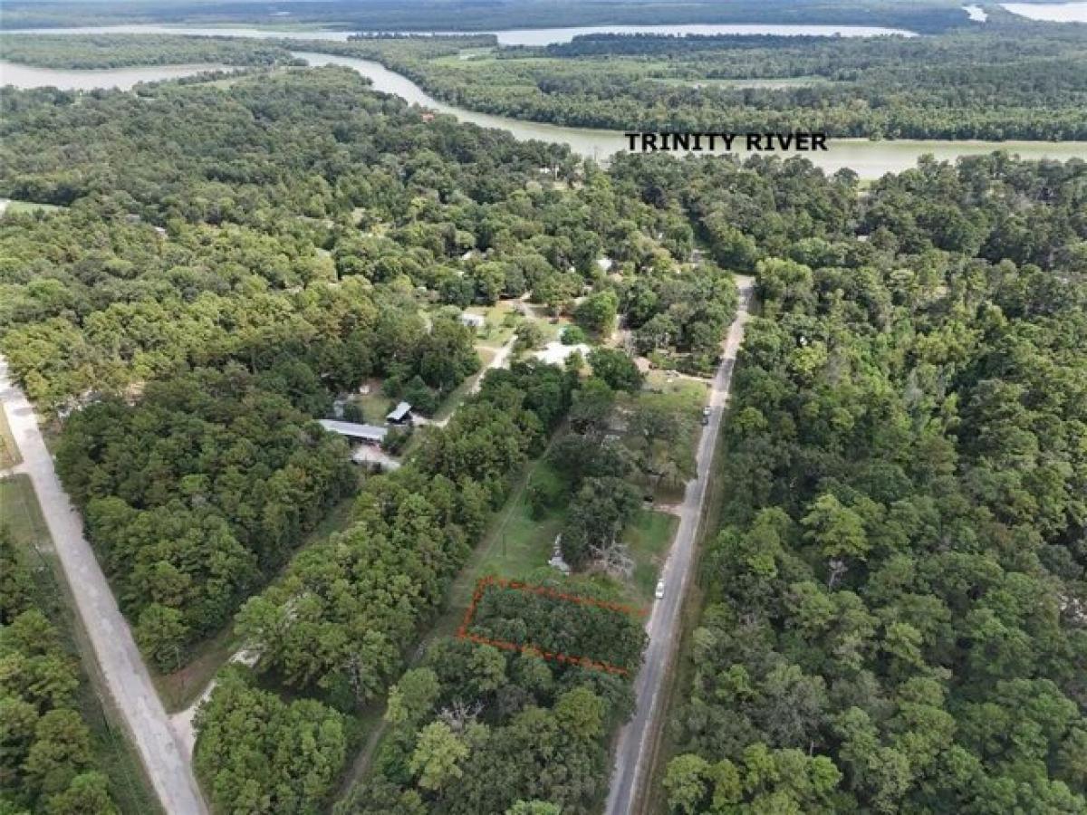 Picture of Residential Land For Sale in Trinity, Texas, United States