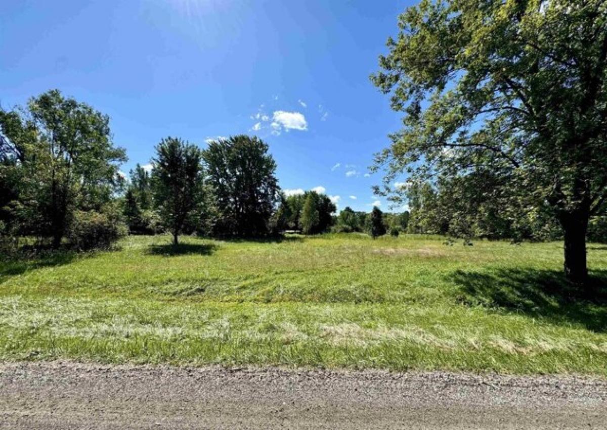 Picture of Residential Land For Sale in Flushing, Michigan, United States