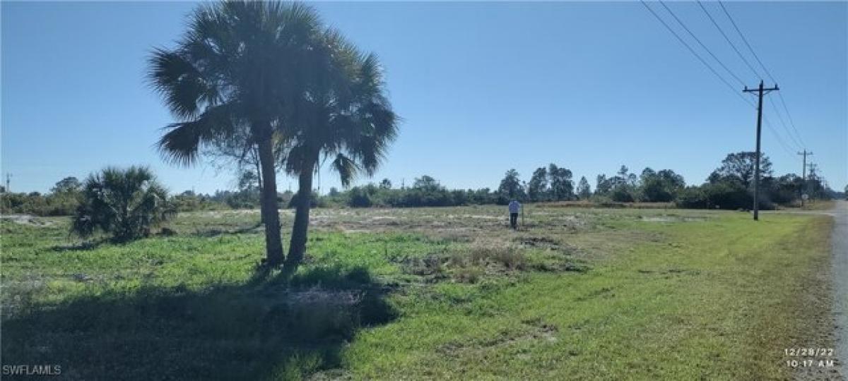 Picture of Residential Land For Sale in Lehigh Acres, Florida, United States