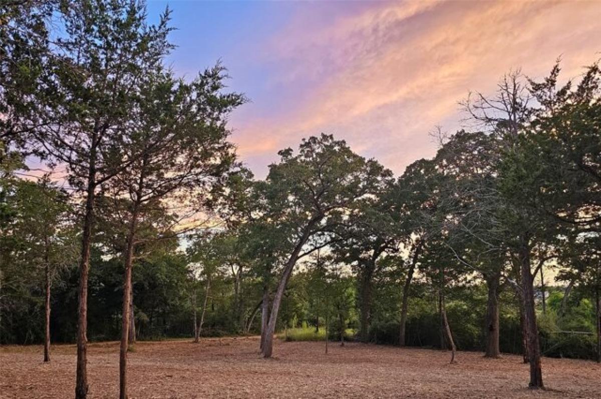 Picture of Residential Land For Sale in Smithville, Texas, United States