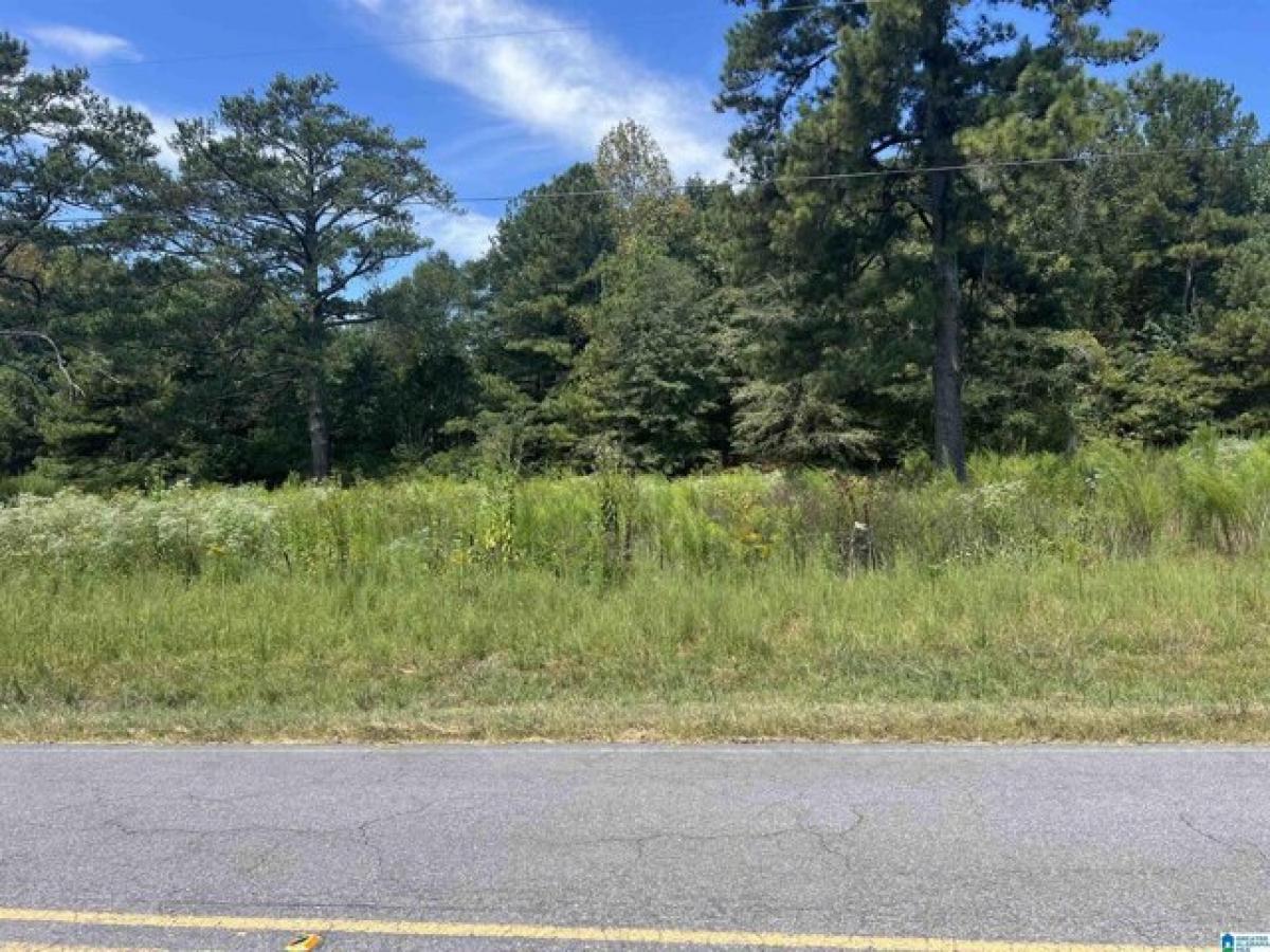 Picture of Residential Land For Sale in Ashville, Alabama, United States