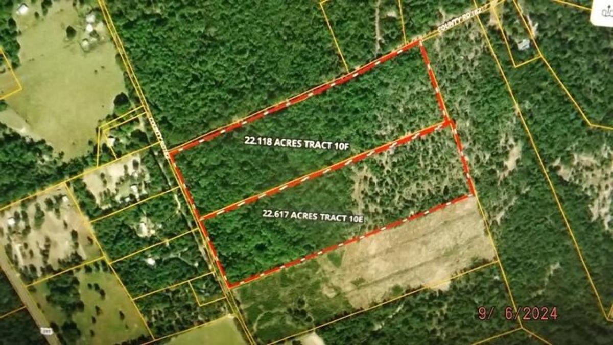 Picture of Residential Land For Sale in Elkhart, Texas, United States