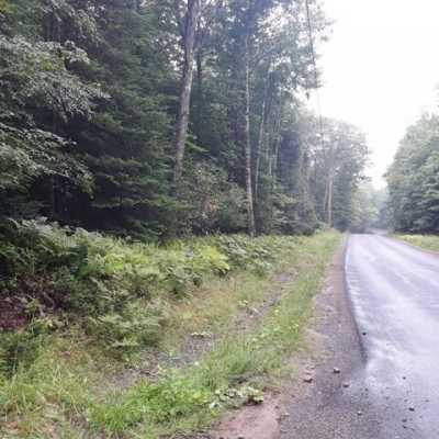 Residential Land For Sale in Salisbury Center, New York