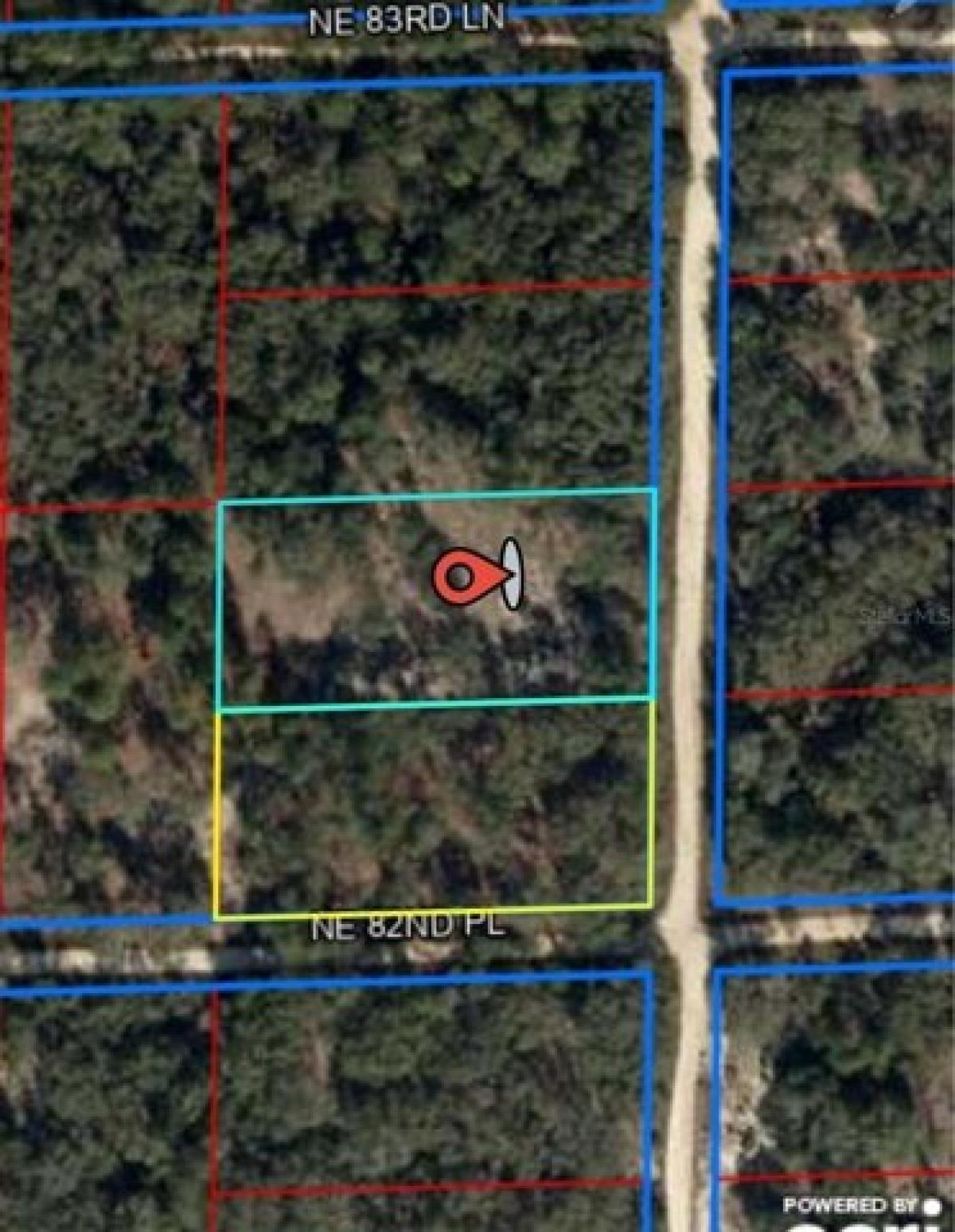 Picture of Residential Land For Sale in Bronson, Florida, United States