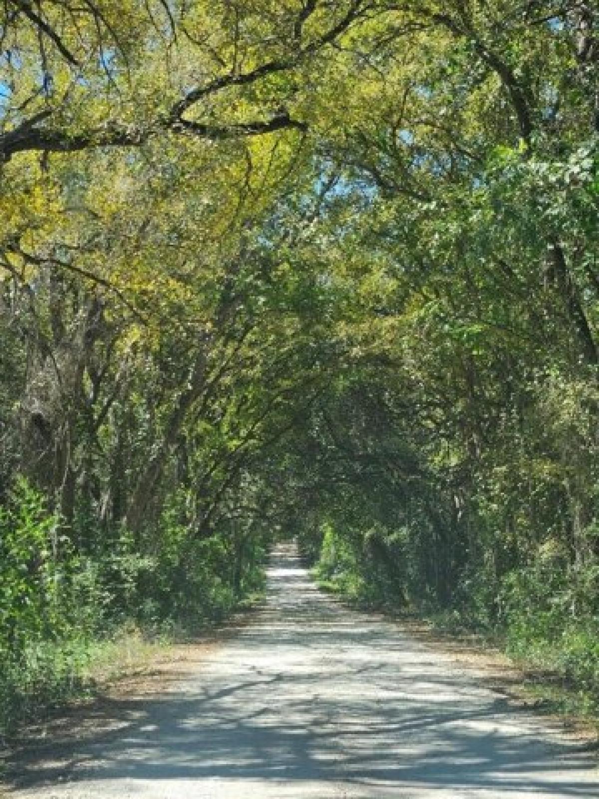 Picture of Residential Land For Sale in Blum, Texas, United States