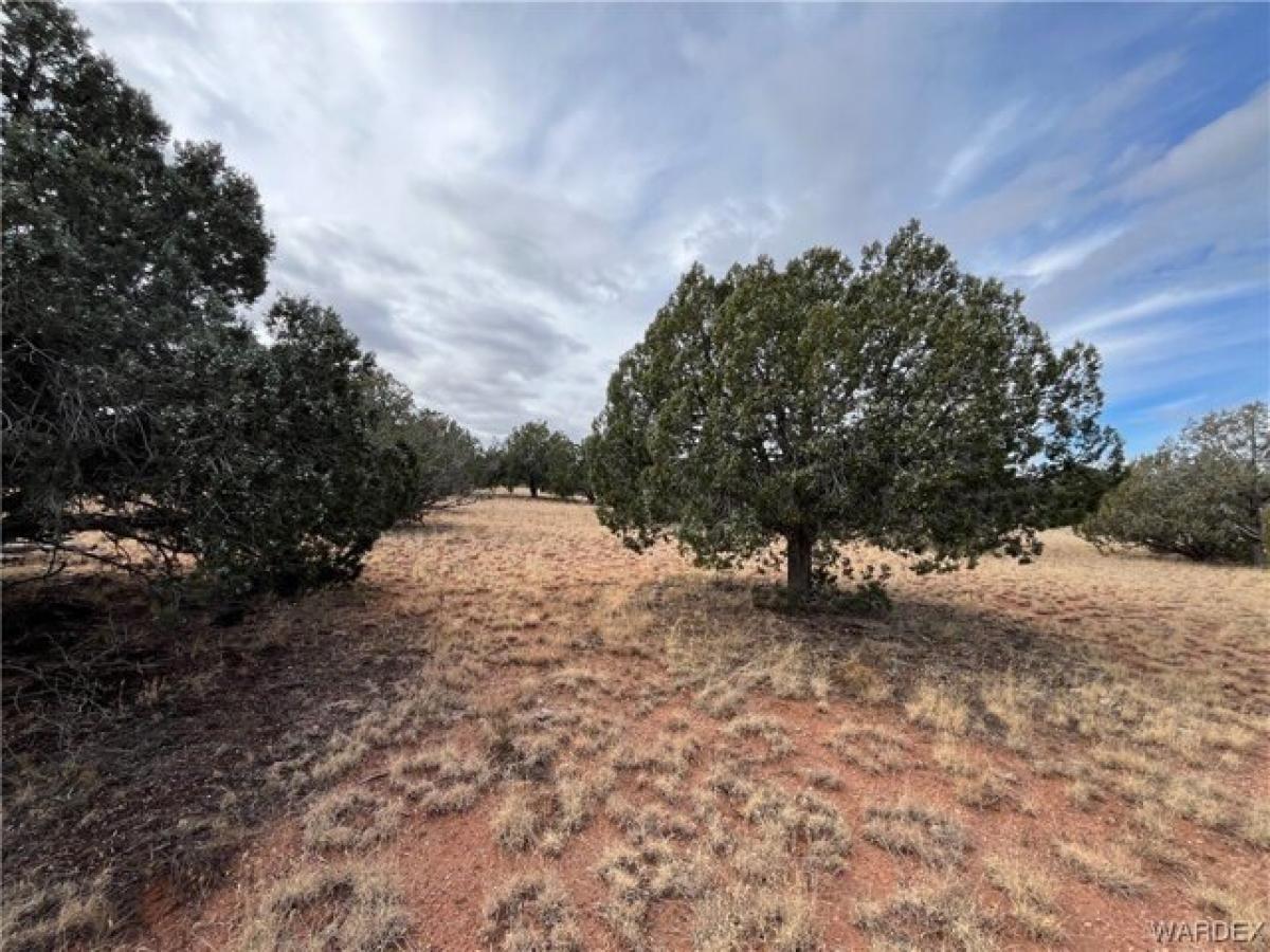 Picture of Residential Land For Sale in Seligman, Arizona, United States