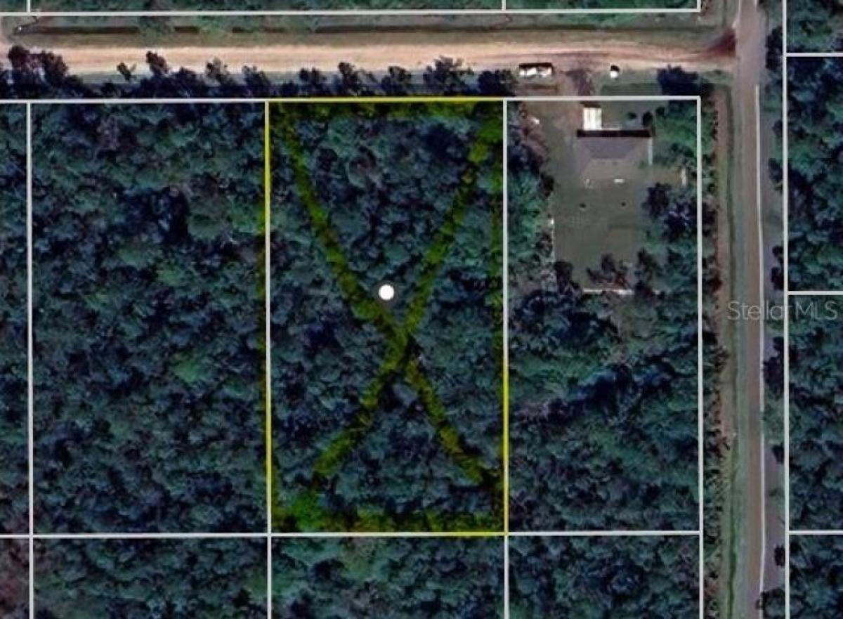 Picture of Residential Land For Sale in Hastings, Florida, United States