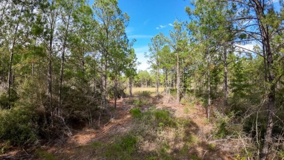 Picture of Residential Land For Sale in Livingston, Texas, United States