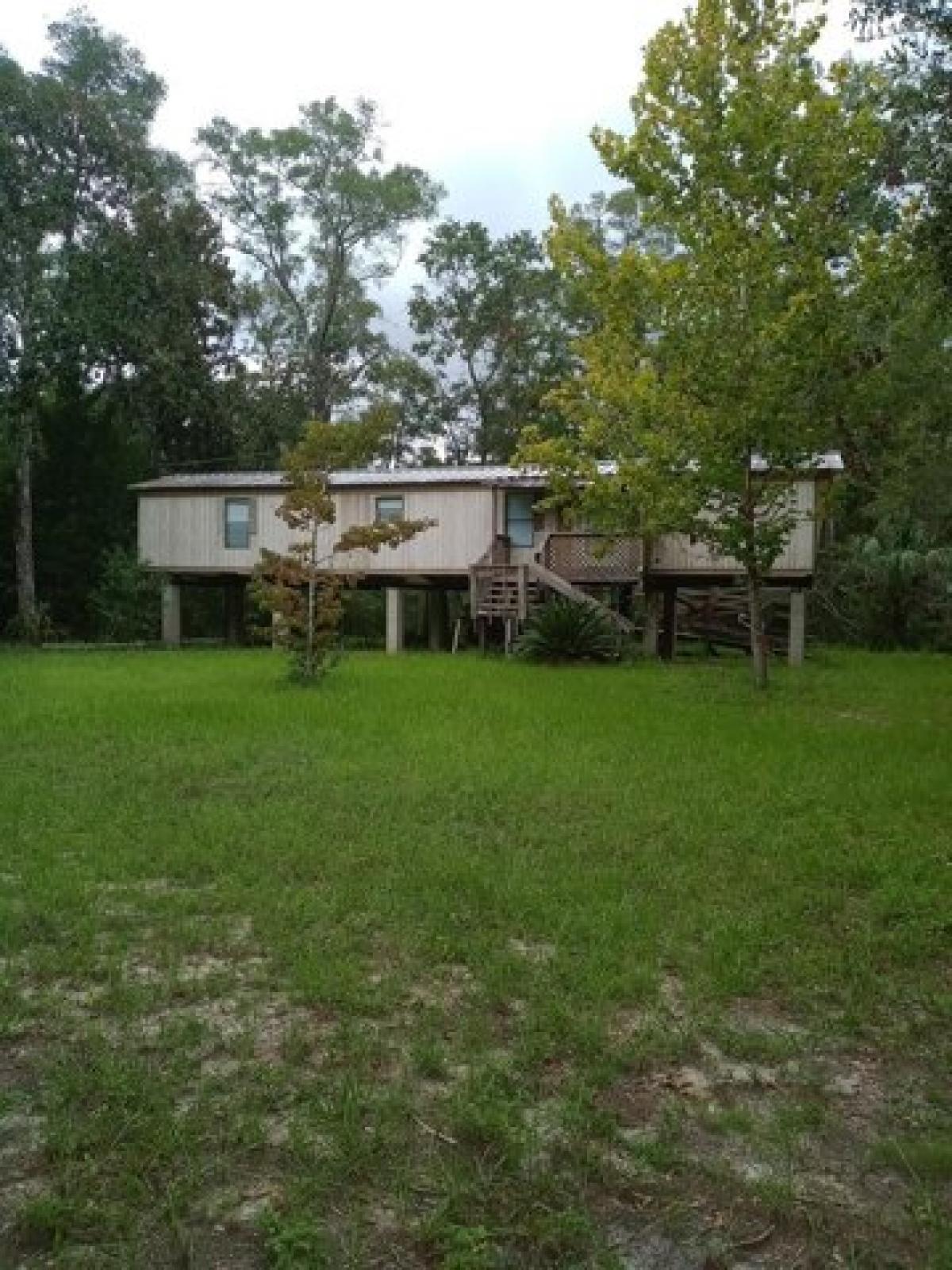 Picture of Home For Sale in Steinhatchee, Florida, United States