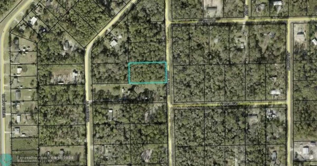 Picture of Residential Land For Sale in Bunnell, Florida, United States