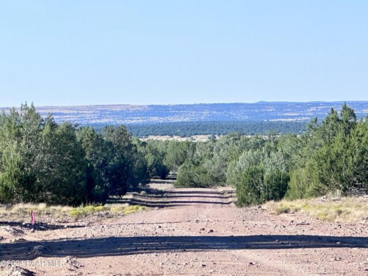 Picture of Residential Land For Sale in Seligman, Arizona, United States