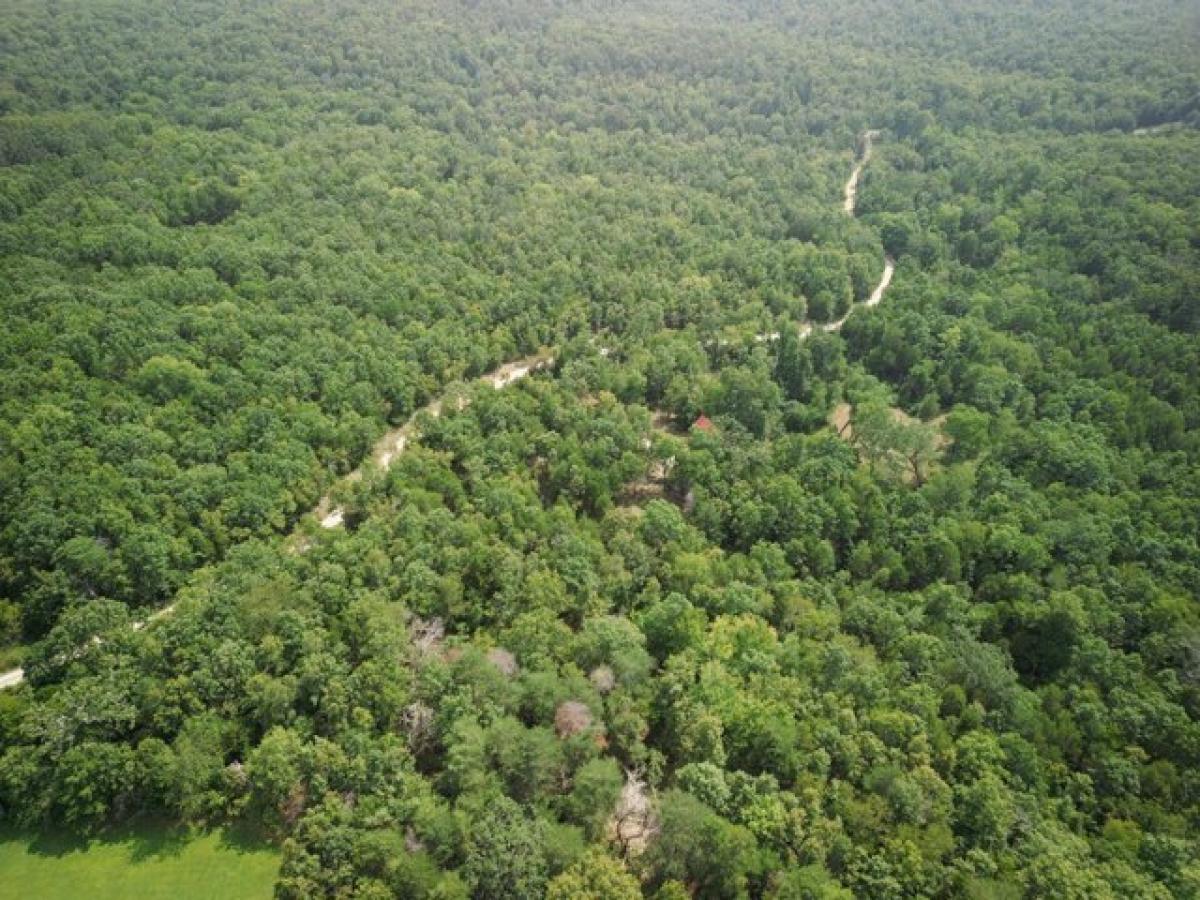 Picture of Home For Sale in Licking, Missouri, United States