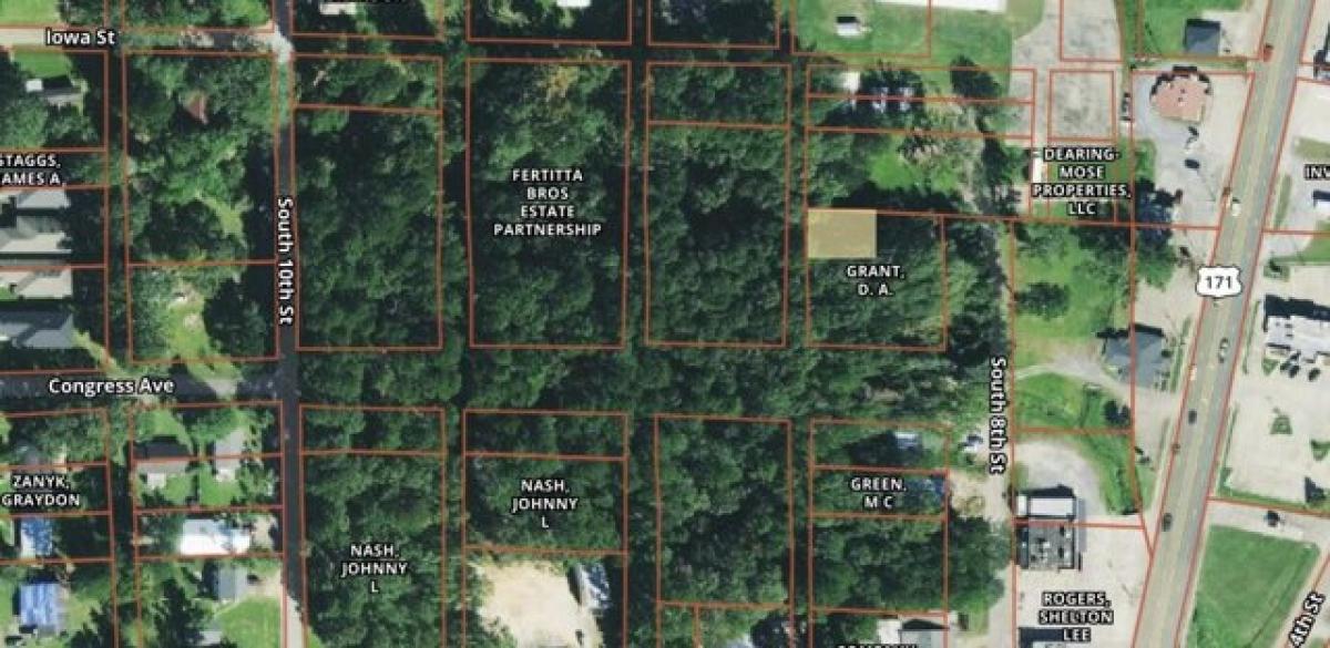 Picture of Residential Land For Sale in Leesville, Louisiana, United States