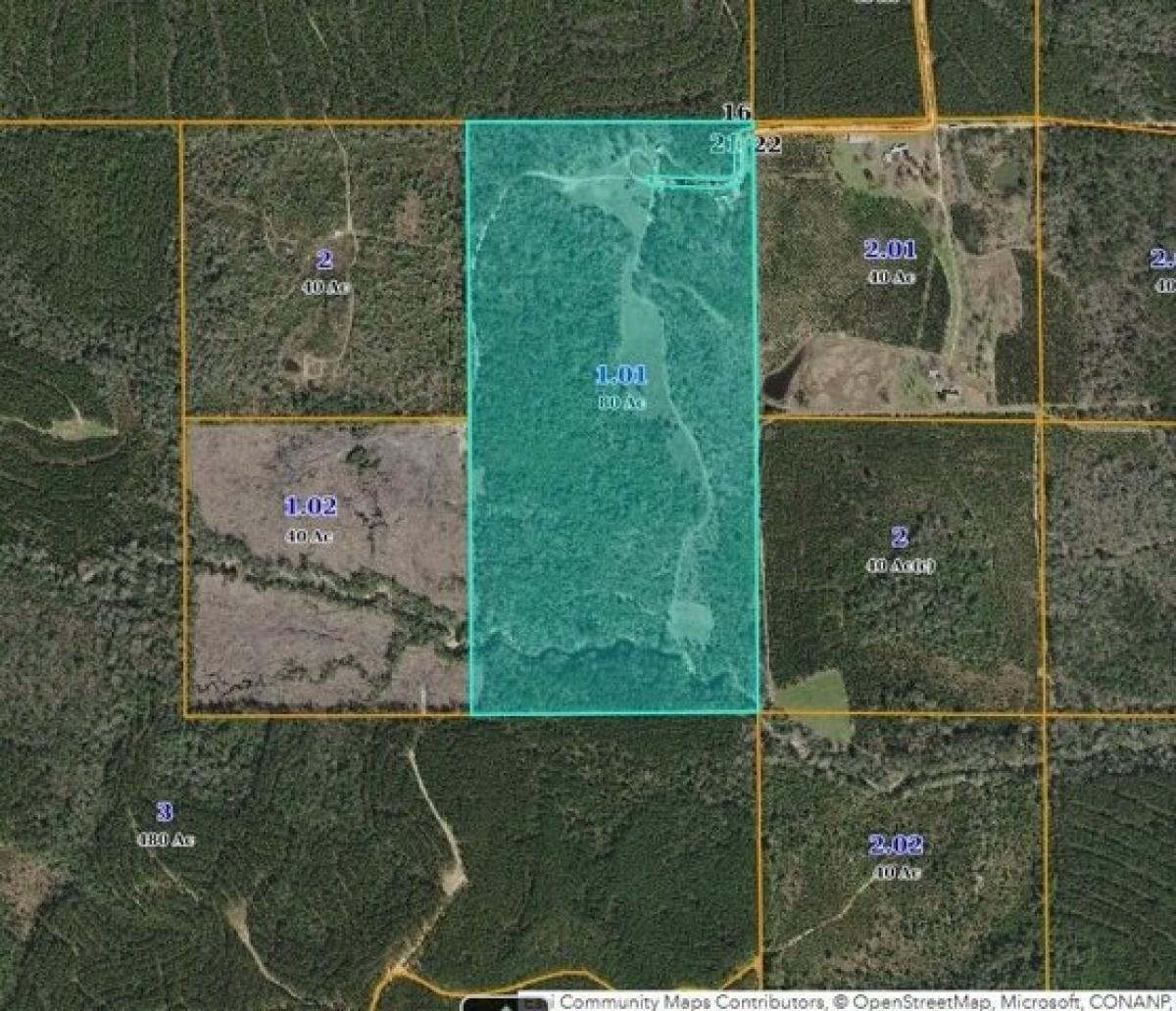 Picture of Residential Land For Sale in Richton, Mississippi, United States