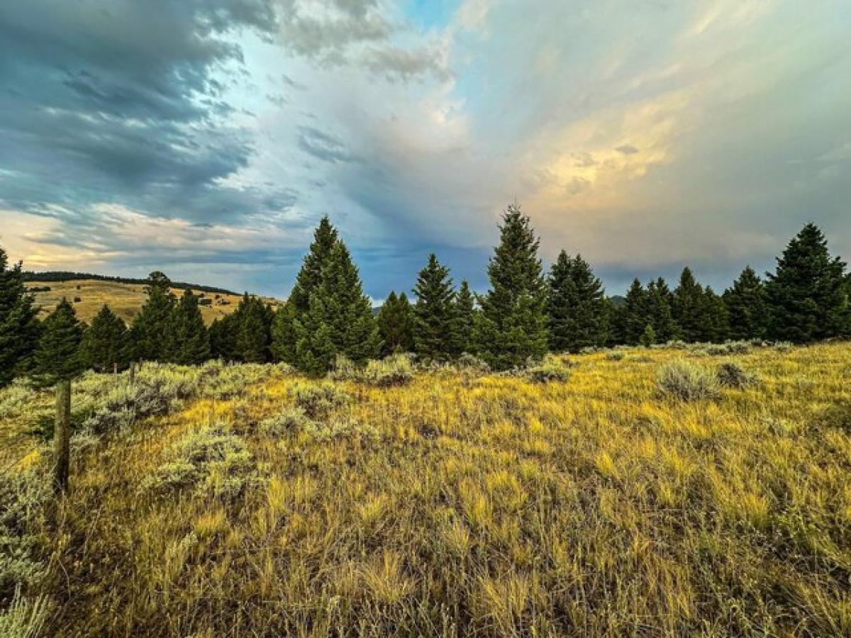 Picture of Residential Land For Sale in Drummond, Montana, United States