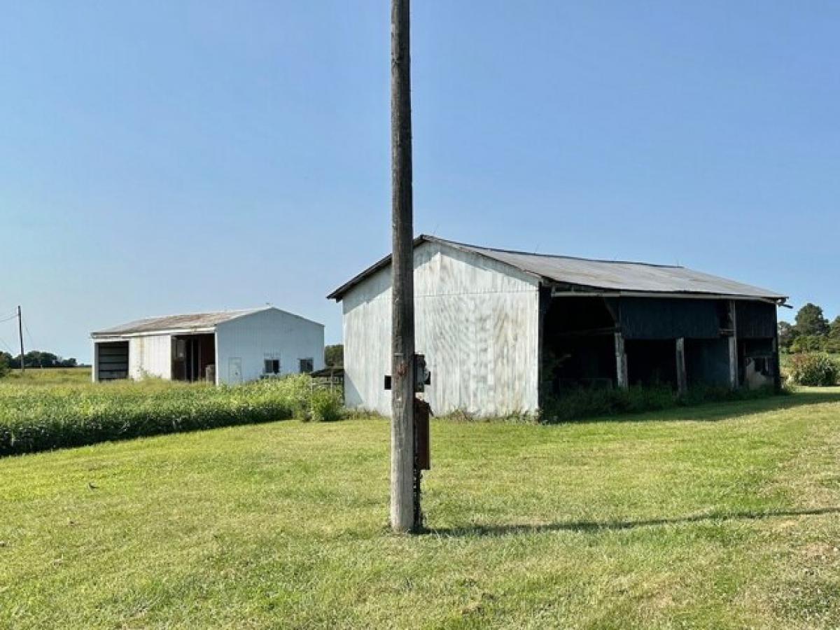 Picture of Residential Land For Sale in Clay City, Illinois, United States