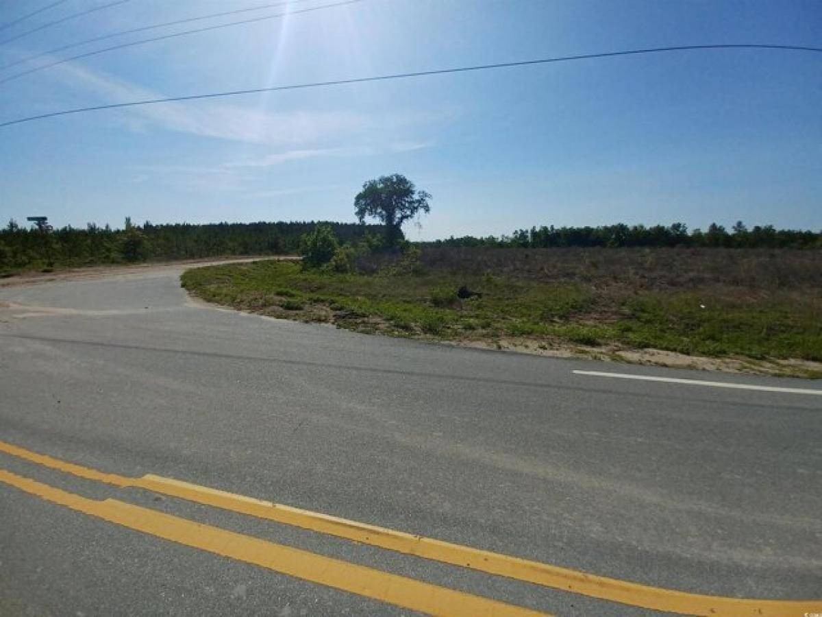 Picture of Residential Land For Sale in Nichols, South Carolina, United States