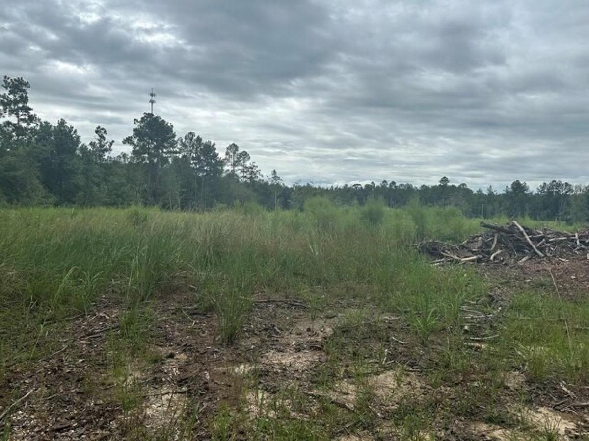 Picture of Residential Land For Sale in Carriere, Mississippi, United States