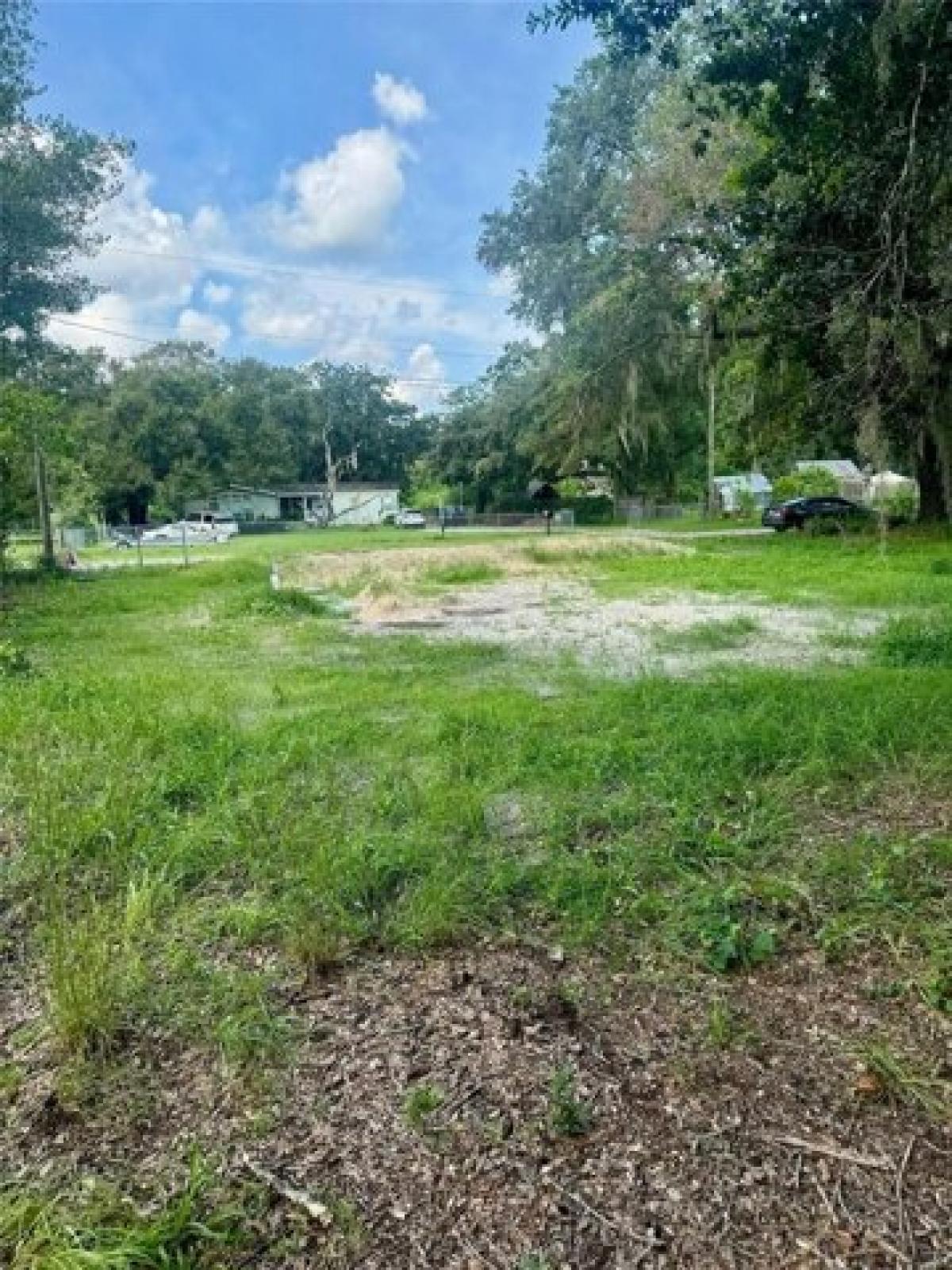 Picture of Residential Land For Sale in Land O Lakes, Florida, United States