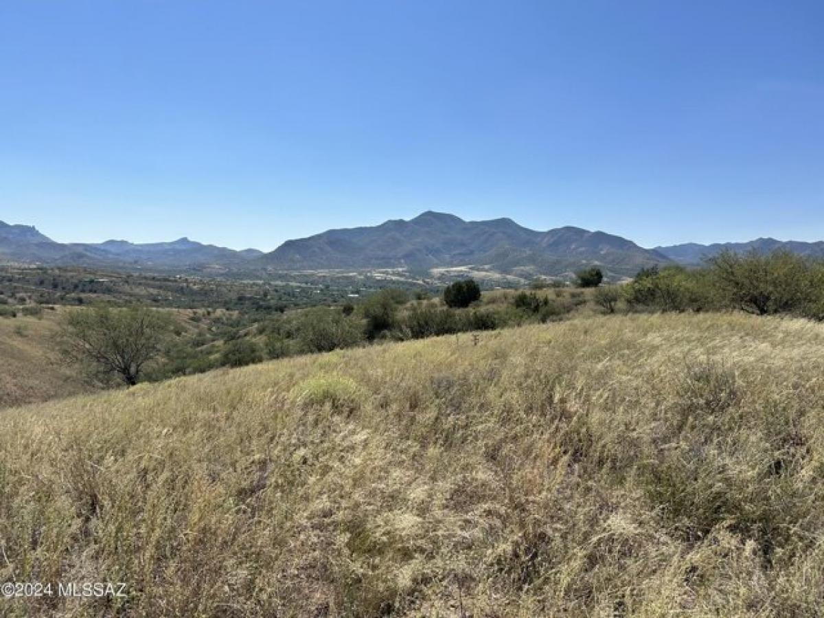 Picture of Residential Land For Sale in Patagonia, Arizona, United States