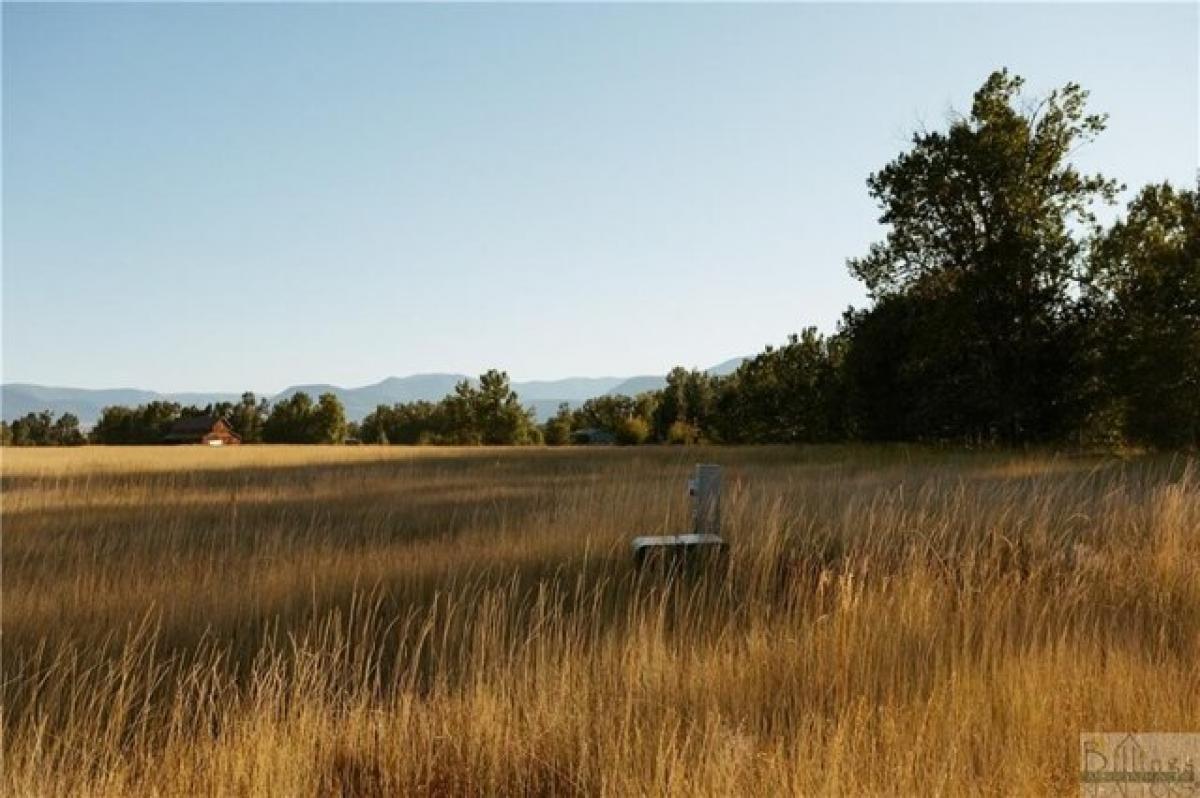 Picture of Residential Land For Sale in Roberts, Montana, United States