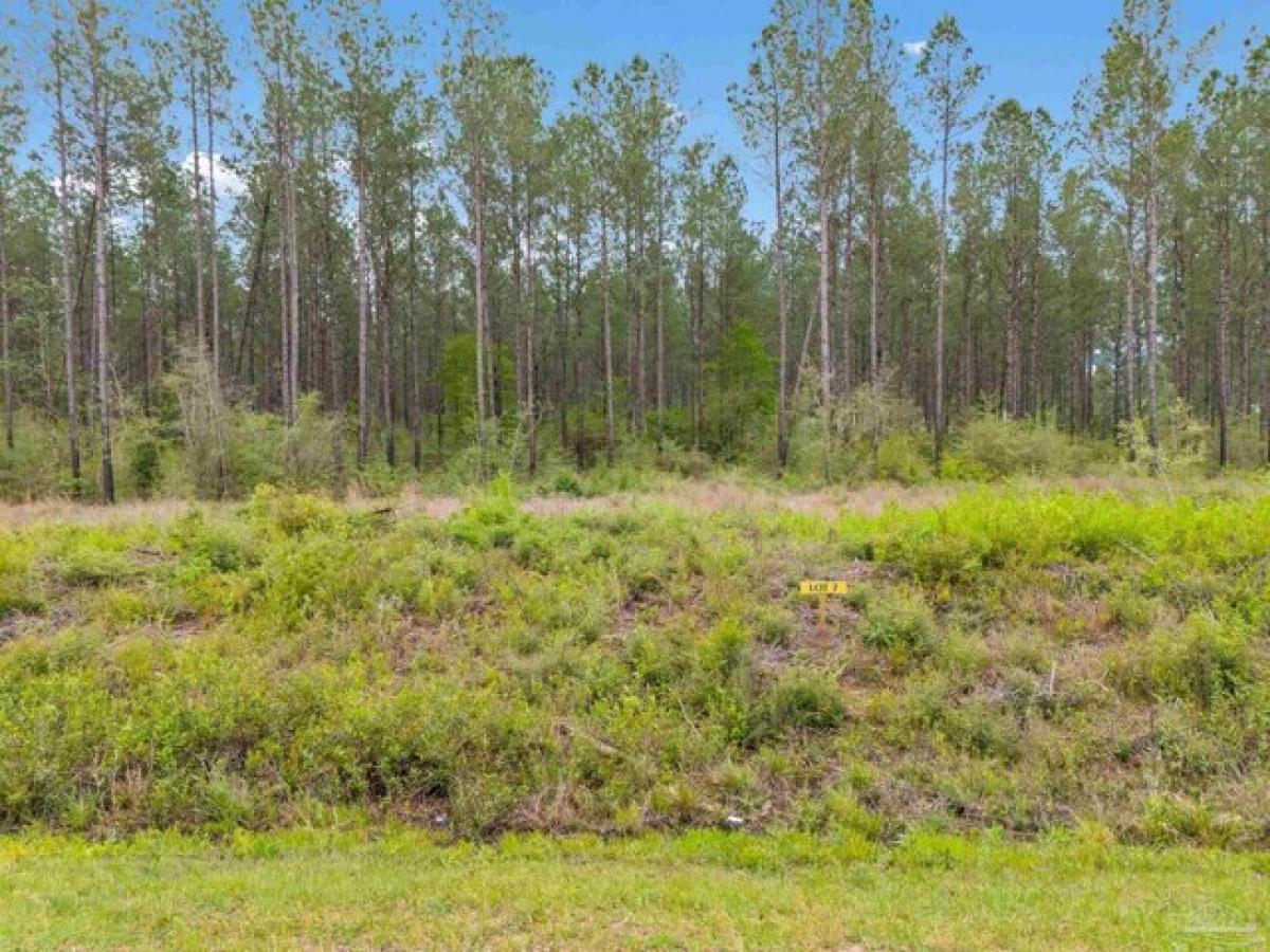 Picture of Residential Land For Sale in Jay, Florida, United States